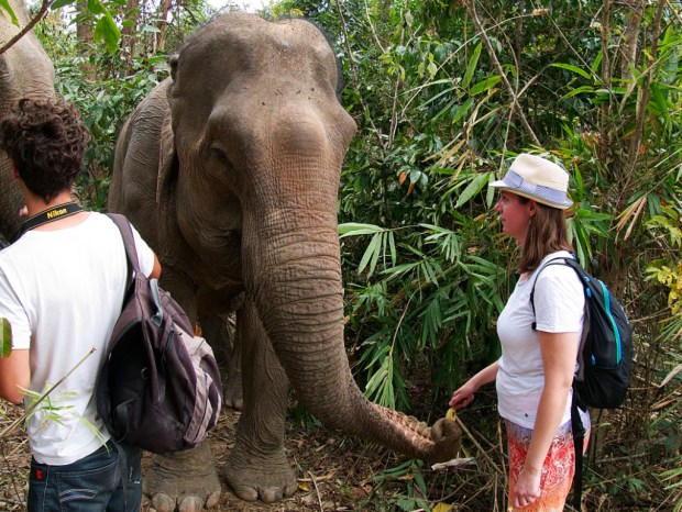 MandaLao_FirstContact