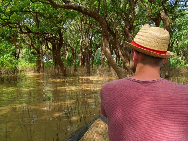 SiemReam_SunkenForest