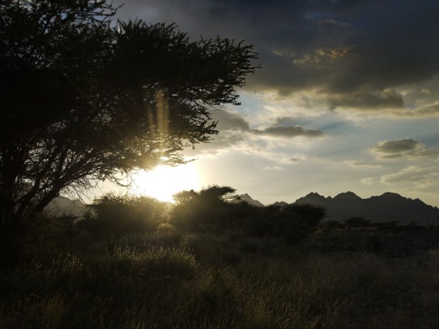 Misfah_Road_to_Muscat