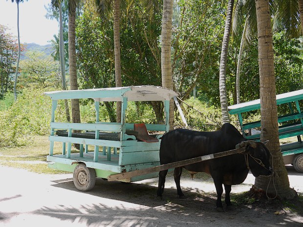 Seychelles_GettingAround