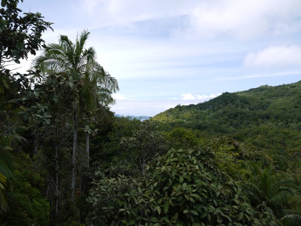 Praslin_VdMViewPoint