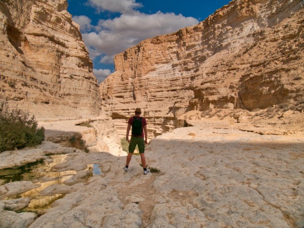EinAvdat_Canyon