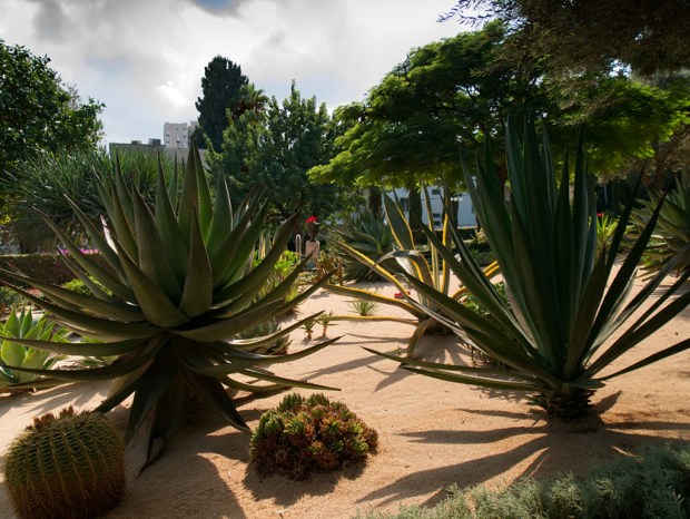 Haifa_BahaiGardenMiddle