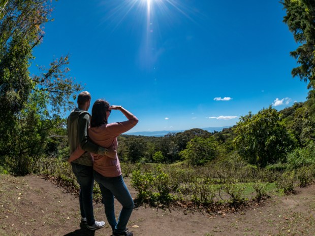 Monteverde_CuriCancha