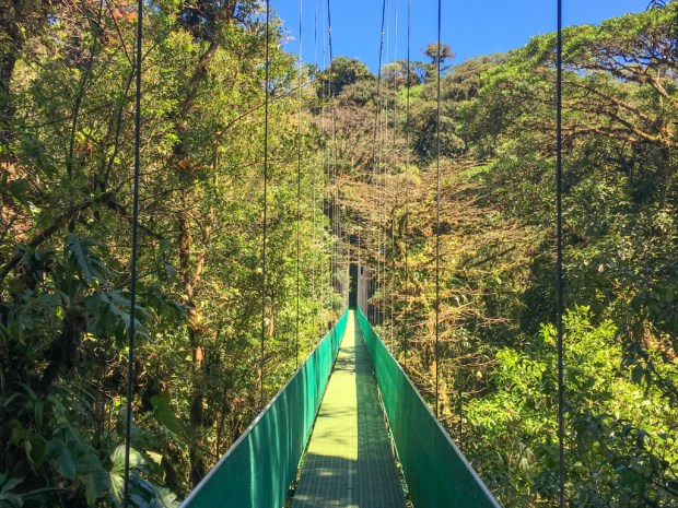 Monteverde_HangingBridges